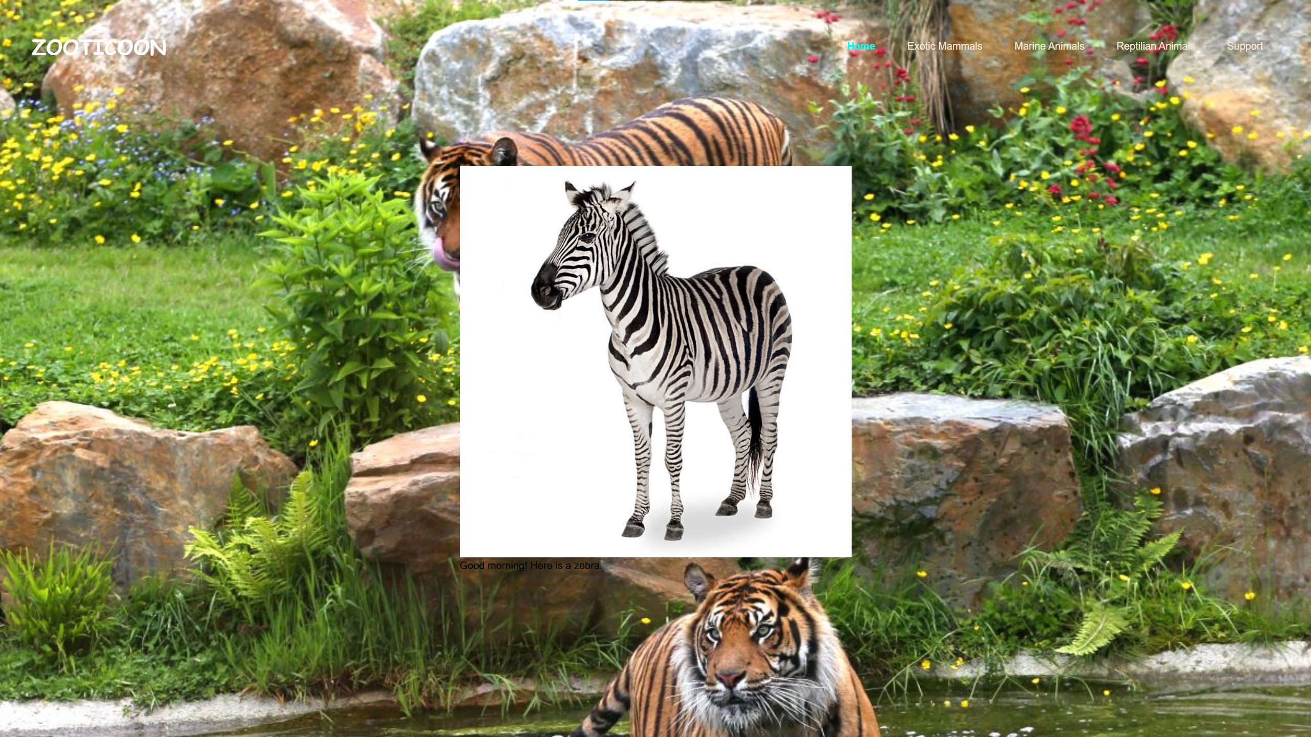 Zooticoon
